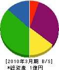 三川 貸借対照表 2010年3月期