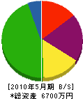 村崎組 貸借対照表 2010年5月期