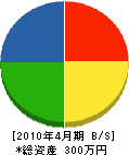 岩上配管工業 貸借対照表 2010年4月期