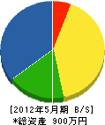 ジャパン・ワークス 貸借対照表 2012年5月期