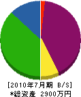 稲田電設工業 貸借対照表 2010年7月期