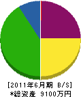 蓮田組 貸借対照表 2011年6月期