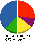 立川工業 貸借対照表 2010年9月期