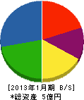 菱エステイ島本鉄工 貸借対照表 2013年1月期