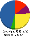 亀入ポンプ店 貸借対照表 2009年12月期