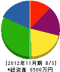 宇佐建設 貸借対照表 2012年11月期
