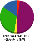 品川アート・プロ 貸借対照表 2012年4月期