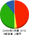 東北埼京 貸借対照表 2009年3月期