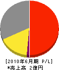 松井産業 損益計算書 2010年6月期