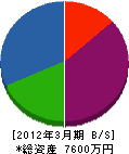 長田建設 貸借対照表 2012年3月期