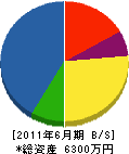 浜崎組 貸借対照表 2011年6月期