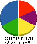 岩崎電気 貸借対照表 2012年3月期