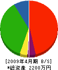 丸松電建 貸借対照表 2009年4月期