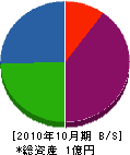 飯島建設 貸借対照表 2010年10月期