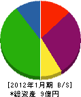小野瀬工業 貸借対照表 2012年1月期