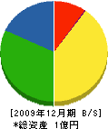 ミヤモリサクスイ 貸借対照表 2009年12月期