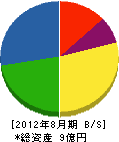 芝田土質 貸借対照表 2012年8月期