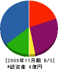川城建設 貸借対照表 2009年11月期