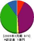 新井電機 貸借対照表 2009年3月期