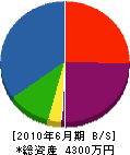 福井修景 貸借対照表 2010年6月期