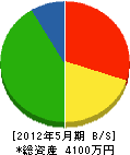 大晃設備 貸借対照表 2012年5月期