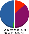 ウォン 貸借対照表 2012年9月期
