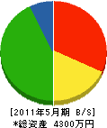 大晃設備 貸借対照表 2011年5月期