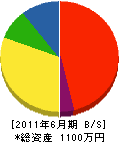 生田建設 貸借対照表 2011年6月期