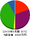 松尾電気 貸借対照表 2010年6月期
