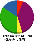 石田電気 貸借対照表 2011年12月期