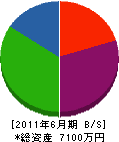 渡辺水道 貸借対照表 2011年6月期
