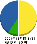 川澄建設 貸借対照表 2008年12月期
