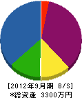 中澤電気商会 貸借対照表 2012年9月期