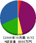 丸川設備 貸借対照表 2008年10月期