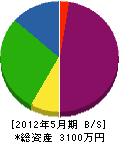 笠原電気 貸借対照表 2012年5月期