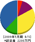 日配工業 貸借対照表 2009年5月期