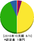浜田電機工 貸借対照表 2010年10月期