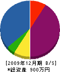 朝井工務店 貸借対照表 2009年12月期