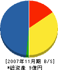 近畿鉄筋コンクリート 貸借対照表 2007年11月期
