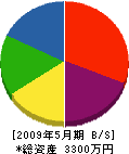 岡崎工業所 貸借対照表 2009年5月期