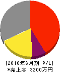 向江建設 損益計算書 2010年6月期