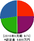 武田建設 貸借対照表 2010年6月期