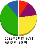 丸子信州電気 貸借対照表 2012年5月期