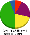 松宮電気工業 貸借対照表 2011年6月期