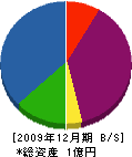 丸大大島建設 貸借対照表 2009年12月期