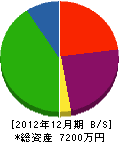 伊藤造園 貸借対照表 2012年12月期