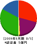 石村組 貸借対照表 2009年8月期