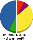 佐々木工業 貸借対照表 2009年5月期
