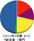 大島組 貸借対照表 2012年3月期