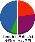 小野電業社 貸借対照表 2009年12月期